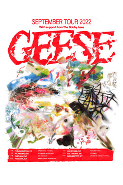 Geese